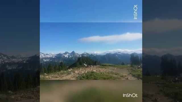 Штат Вашингтон, Гора Реньер (Rainier National Park, Washington). Рекомендуется к посещению с детьми смотреть онлайн