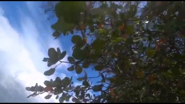 Тайланд/Пхукет/Аэропорт смотреть онлайн