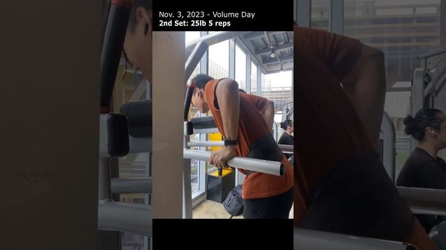 Week 4 Dip Progress Part 2 смотреть онлайн