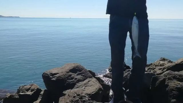 Короткая  нарезка одной из рыбалок на кефаль в Сочи