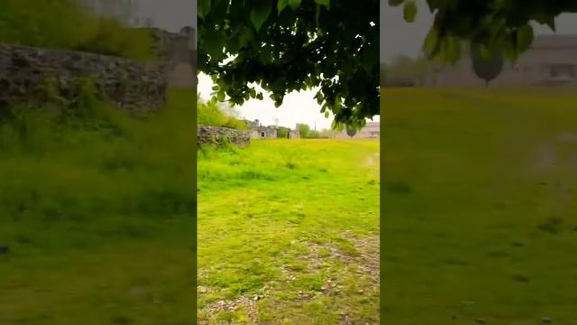 Трезвон и собака. Колокола. Служба в храме. Лыхны. Православие. Христианство. Корнет Лакрба. смотреть онлайн