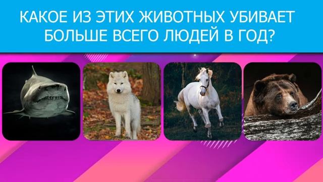 Только 5% зрителей пройдут этот тест без ошибок Викторина по ПРИРОДЕ смотреть онлайн