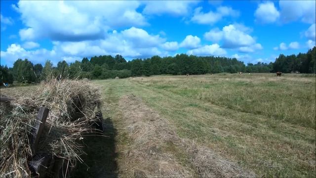 И одна в поле воин. Не легкий сенокос. смотреть онлайн