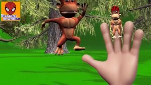 Семья пальчиков 3D - Обезьянки - Funny Monkeys Finger Family 3D in Russian