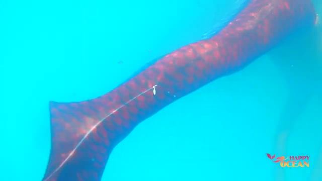 Русалки плавают в бассейне! Вечеринка русалок! смотреть онлайн