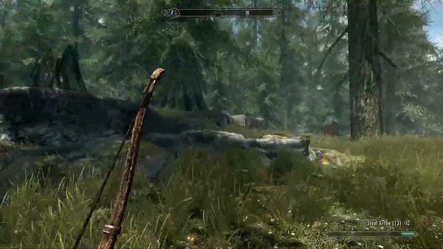 The Great Forest - SKYRIM Immersion - 4.3 смотреть онлайн