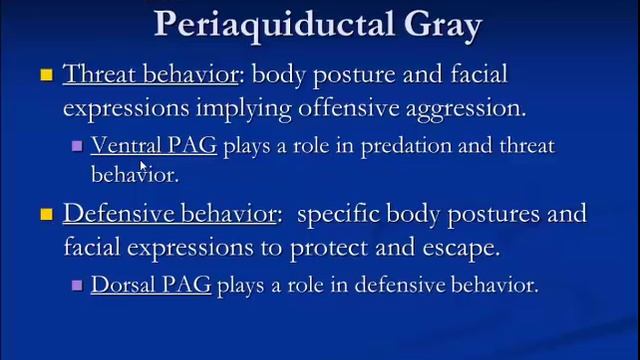 Emotion Stress Anxiety