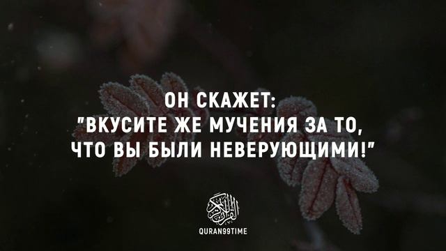 Неверующие скажут: "О, если бы нас вернули обратно!" Файсал ар-Рушуд. Сура 6 «аль-Анам» 27-32 смотреть онлайн
