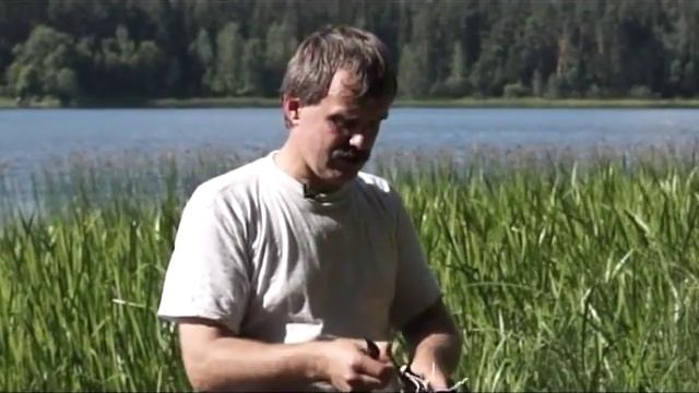 Травовед. Аир. Рассказывает Моряков Сергей Викторович смотреть онлайн