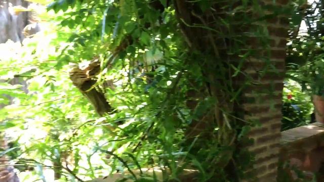 ИСПАНИЯ 2017 | Каталония | Коста Брава | Бланес | Барселона | Джи Вилкс | Отчёт о поездке смотреть онлайн