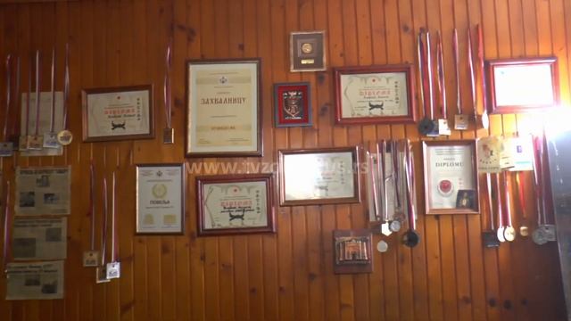 KARATE KLUB ''BUŠIDO NB'' – ŽETEOCI MEDALJA SA CRVENOG KRSTA смотреть онлайн