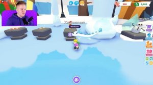 КУПИЛ ВСЕХ НОВОГОДНИХ ПЕТОВ В ADOPT ME ROBLOX