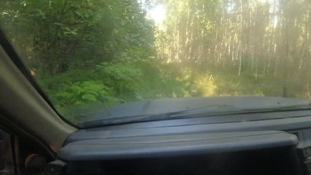 Коп в посадках. По выбитам местам. смотреть онлайн