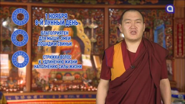 Опасности, советы и встречи смотреть онлайн