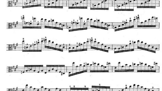 R.KREUTZER, Nº8, 📕violin & Viola , Etude , Noa Melbourne, Violist.