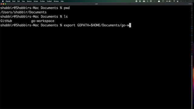 Install Go/Golang on Apple M1 Silicon Macs смотреть онлайн