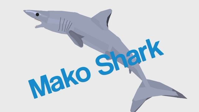 Great White Shark Vs Mako Shark Stick Nodes Animation смотреть онлайн