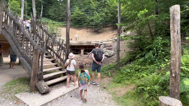 ЗООПАРК В ЛЮБЛЯНЕ | СЛОВЕНИЯ | СЕМЕЙНЫЙ ВЛОГ смотреть онлайн