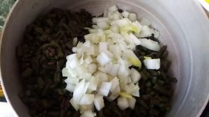 Папоротник. Как готовить. Рецепт. Приготовить папоротник. Сбор. Папоротник орляк. Дикоросы. Орляк