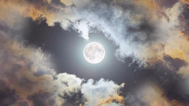 К чему снятся МОЛОКО или видеть во сне МОЛОКО | Толкование снов | Сонник Sk1.online смотреть онлайн