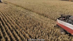 Комбайны ACROS 595 Plus - работа на уборке кукурузы! Жатка ARGUS 870 от Ростсельмаш