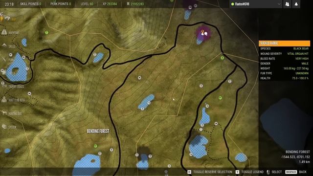 Giant Diamond Rocky Mountain Elk on the Black Bear Grind! смотреть онлайн