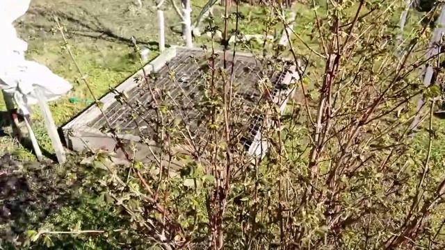 Стройка Заданий