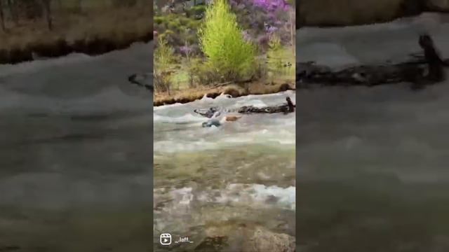 Горный Алтай 2022 смотреть онлайн