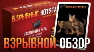 ВЗРЫВНЫЕ КОТЯТА??? – ВЗРЫВНОЙ ОБЗОР | НАСТОЛЬНАЯ ИГРА??????