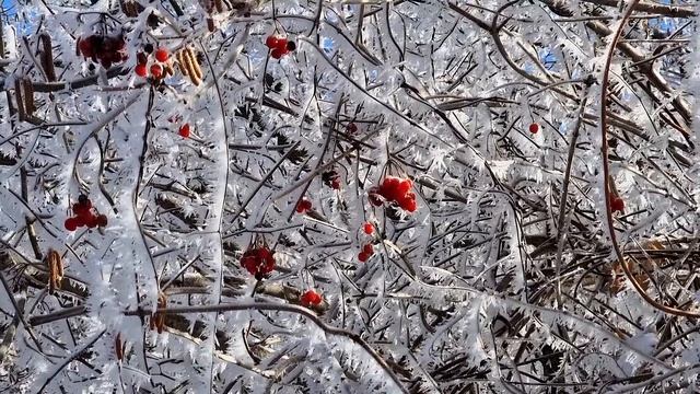 Зима в Азербайджанской Деревне. Готовим Ленивую Пахлаву. Турецкая Пахлава. смотреть онлайн