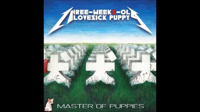 SANDWITCH MASTER - three-weeks-old lovesick puppy смотреть онлайн