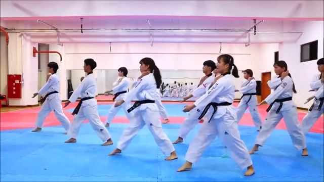 Bài Quyền số 9 Taekwondo (Koryo poomsae) - Lee Tường смотреть онлайн