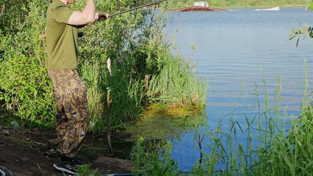 Карась на Медвежьем озере в Новосибирске. Фидер смотреть онлайн