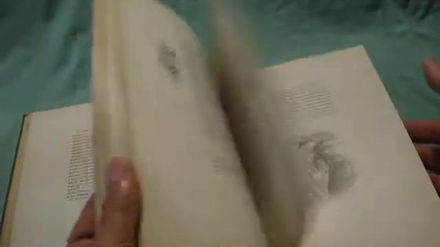 Sandow's Book смотреть онлайн