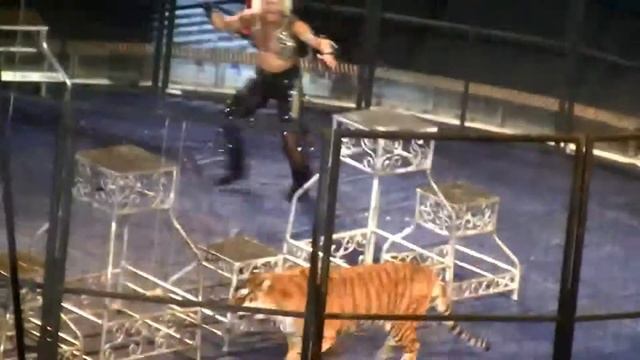 Emigrate & Till Lindemann – Let's Go (Circus Animal Trainer's Clip) смотреть онлайн