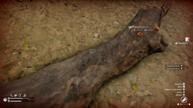 Green Hell - Lets Test Xbox One Gameplay [Deutsch] Wir schauen uns das Game mal an смотреть онлайн