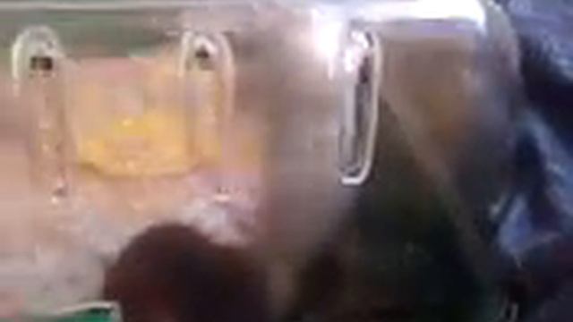 Сумасшедшая Крыса смотреть онлайн
