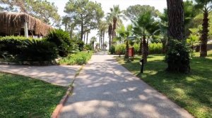 ТУРЦИЯ в августе 2022, Бельдиби, отель Paloma Foresta 5*