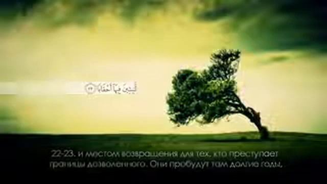 Ахмад аль Анчихи Сура 78 «ан Наба» смотреть онлайн