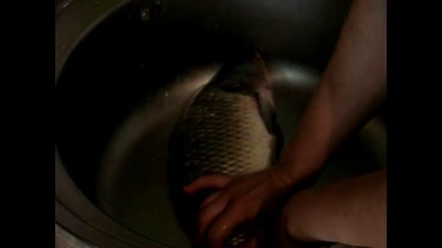 как легко почистить карпа смотреть онлайн