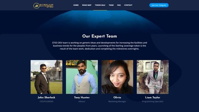 ICO Sterling Sovereign (STSO). Чем интересно ICO? смотреть онлайн