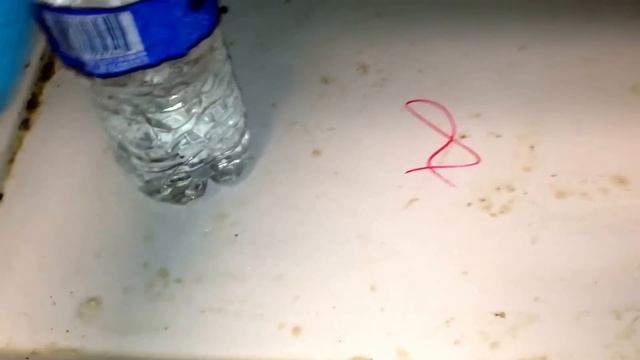 Clear Fridge Drain Using a Water Bottle! смотреть онлайн