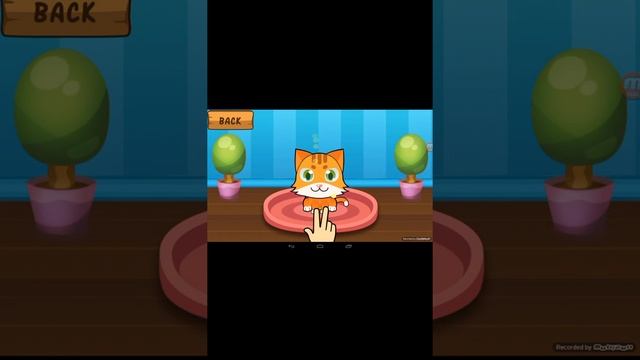 Играем в My Virtual Cat - Cute Kittens смотреть онлайн