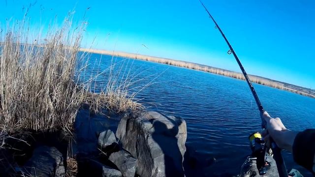 Любительский фидер. Ловля плотвы весной на Южном Буге. смотреть онлайн