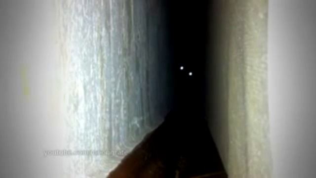 Антискример #3 (Кот скример, Змея в рюкзаке)