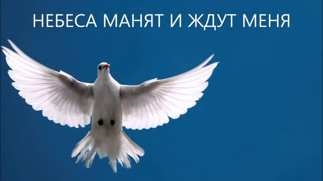 НЕБЕСА МАНЯТ И ЖДУТ МЕНЯ смотреть онлайн