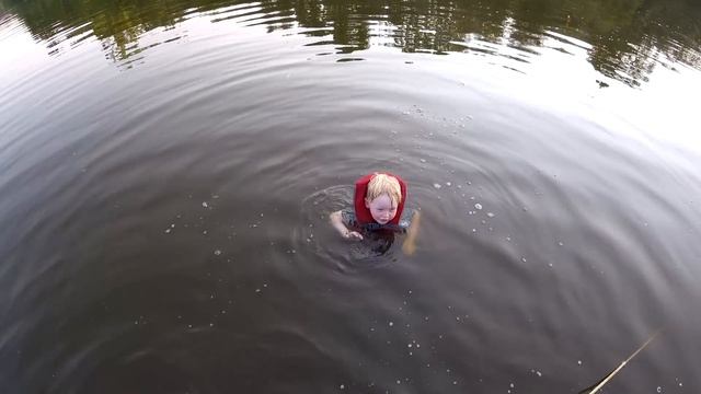 How To Catch Carp In Summer. Carp Fishing Bait, Carp Rigs, Tips And Techniques