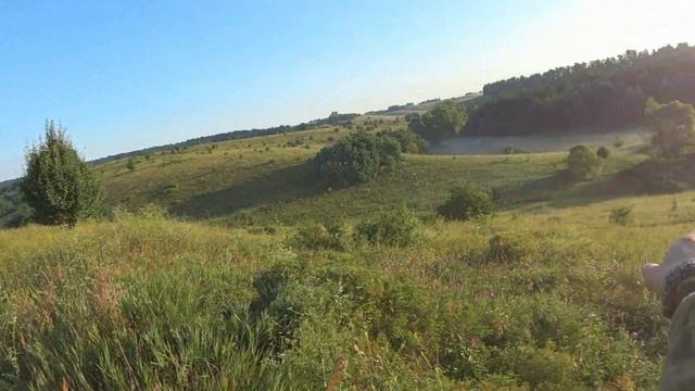 Охота на козла с подхода / охота на косулю смотреть онлайн