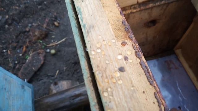 VID Смотрим контрольные улья , после обработки дымпушкой . смотреть онлайн