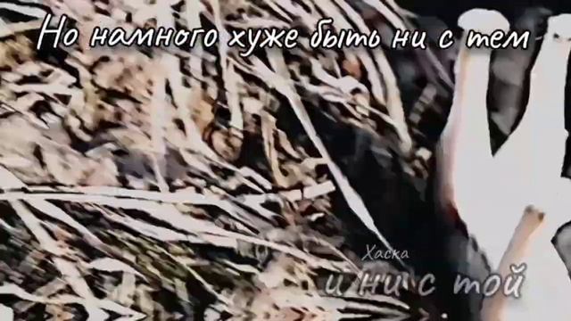 ПЛАКАТЬ В PORCHE/SCHLEICH КЛИП смотреть онлайн